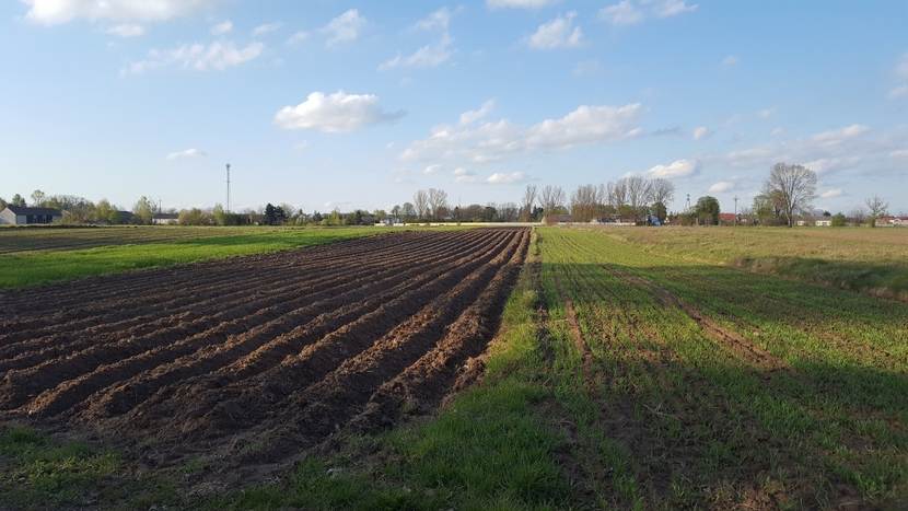 1 мая 2016 года в Польше закончился 12-летний мораторий на продажу сельскохозяйственных земель иностранцам