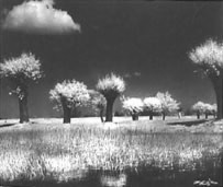 Эдвард Хартвиг ​​- вероятно, самый известный польский фотограф первой половины двадцатого века, он экспериментировал преимущественно с пейзажной фотографией