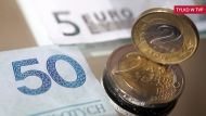 Заместитель министра иностранных дел Конрад Шиманский заявил, что сейчас слишком рано рассуждать о том, когда и когда Польша примет единую валюту евро