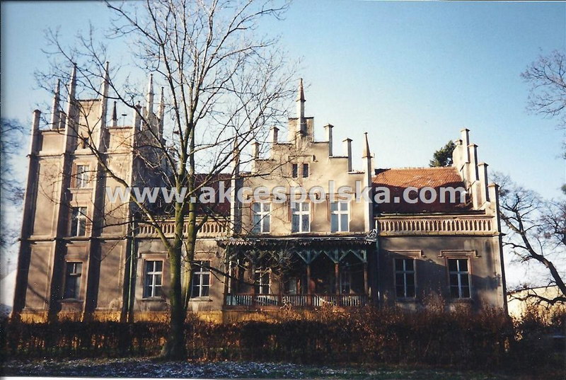 Неоготический дворец середины XIX века